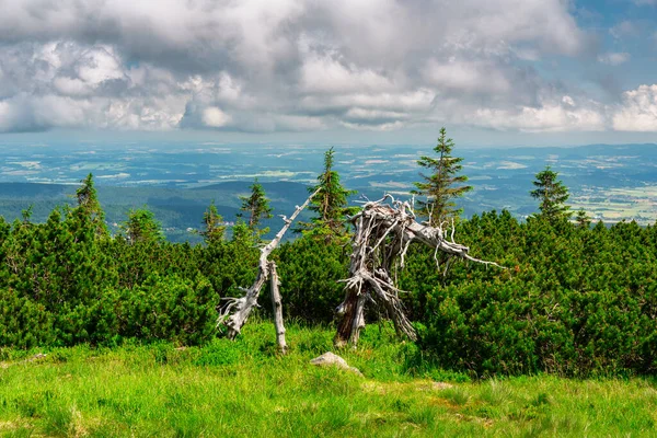 Summer Scenery Trail Mount Szrenica Karkonosze Mountains Poland — Foto de Stock