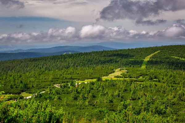 Summer Scenery Trail Mount Szrenica Karkonosze Mountains Poland — Φωτογραφία Αρχείου