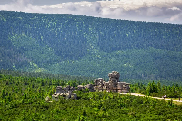 Summer Scenery Trail Mount Szrenica Karkonosze Mountains Poland — Φωτογραφία Αρχείου