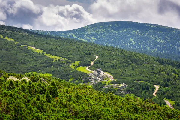 Summer Scenery Trail Mount Szrenica Karkonosze Mountains Poland — Stockfoto