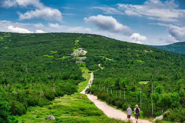 Summer Scenery Trail Mount Szrenica Karkonosze Mountains Poland — Fotografia de Stock