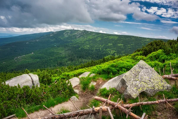 Summer Scenery Trail Mount Szrenica Karkonosze Mountains Poland — Foto Stock