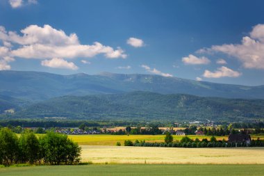 Panorama of the Giant Mountains on a sunny summer day. Poland