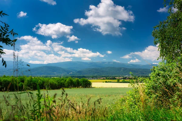 Panorama Giant Mountains Sunny Summer Day Poland — 图库照片