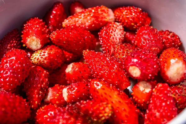 Bowl Full Wild Strawberries — Zdjęcie stockowe