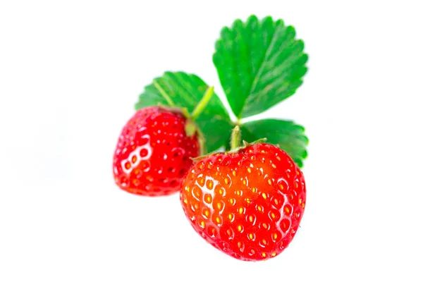 Fragole Con Foglie Isolate Fondo Bianco — Foto Stock