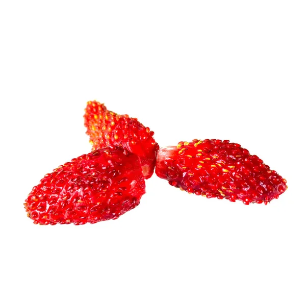 Wild Strawberries Isolated White Background — Stock Photo, Image