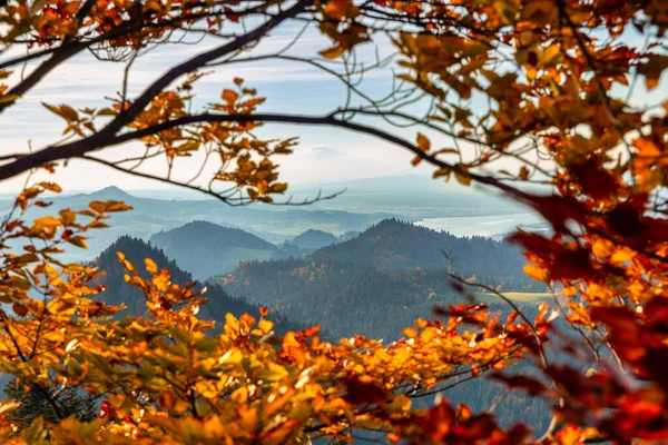 Pieninské Hory Rámci Podzimního Listí Polsko — Stock fotografie
