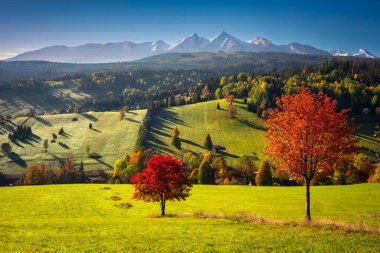 Güneşin doğuşunda Tatra Dağları 'nın altında kırmızı ağaçlarla güzel bir sonbahar. Slovakya