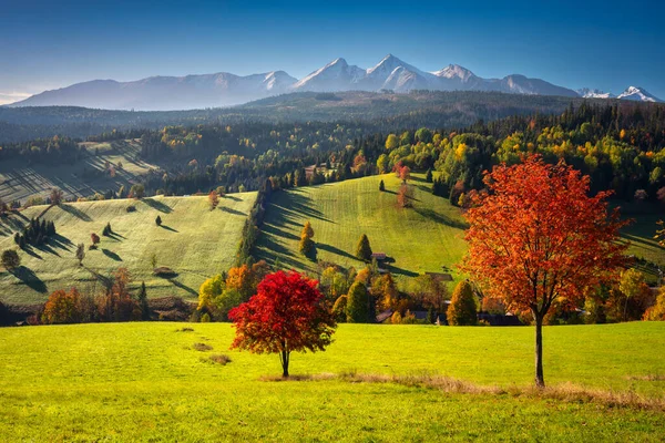 Belo Outono Com Árvores Vermelhas Sob Montanhas Tatra Nascer Sol — Fotografia de Stock