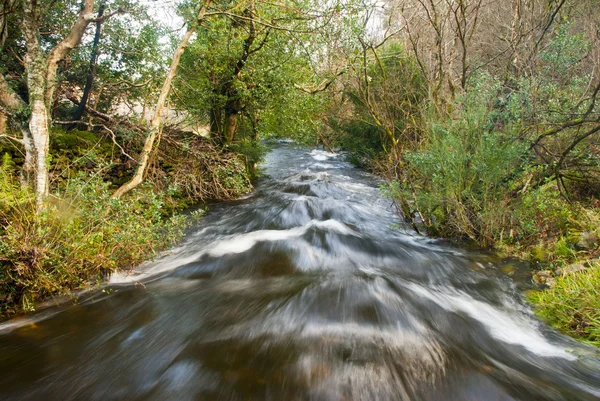 nehir bir hızlı akış