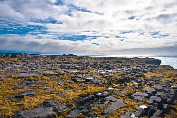 Aran Islands İrlanda kayalıklarla