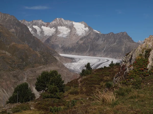 Gran glaciar Aletsch — Foto de Stock