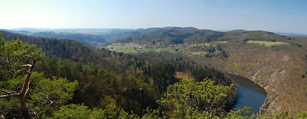 Panorama musim semi dengan sungai dan pohon pinus — Stok Foto