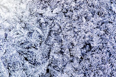 Camdaki buz kalıpları