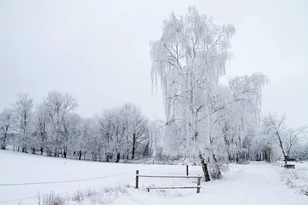 Paesaggio invernale — Foto Stock