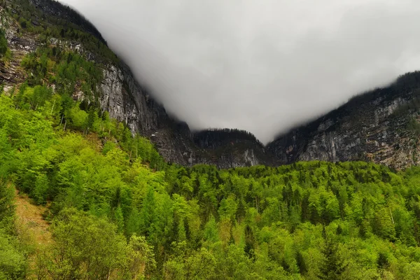 Berg seewand rond hallstatt, Oostenrijkse Alpen, Oostenrijk — Stockfoto