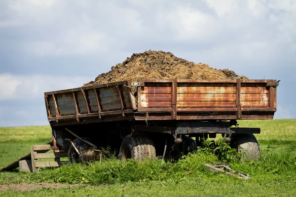 Tow tractor with horse manure standing on pasture — Stock Photo, Image