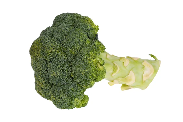 Brokoli diisolasi pada latar belakang putih — Stok Foto