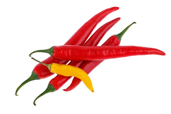 Red hot chili pepper isolated on a white background — Stock Photo, Image