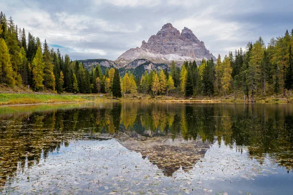 Tre Cime di Lavaredo tepeleri ve Antorno Gölü 'nün sakin sularda yansıması. Dolomites Alp Dağları, Belluno Eyaleti, Dolomiti Alpleri, İtalya