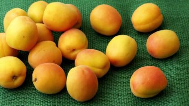 Yeşil zemin üzerine olgun kayısı