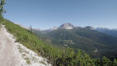 Dolomitlerdeki orman vadisi. Dolomites Alp Dağları, Belluno Eyaleti, Dolomiti Alpleri, İtalya
