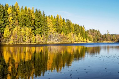 Sonbahar manzarası göletin yüzeyine yansıyor. Çek Cumhuriyeti
