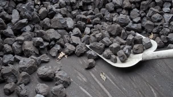 Shovel Pile Brown Coal Heating — Stock Video