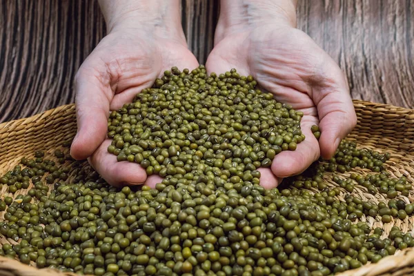 茶色のボウルに乾燥した緑豆がいっぱいです 新鮮なマング豆でいっぱいの手 Vigna Radiata 健康的な食事と菜食主義の概念 — ストック写真