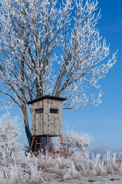 Torre Vigilancia Madera Para Caza Paisaje Invierno Con Árboles Congelados —  Fotos de Stock