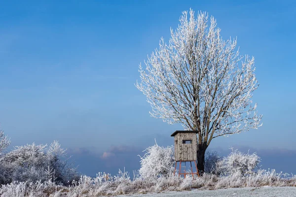 Houten Uitkijktoren Voor Jacht Het Winterlandschap Met Bevroren Bomen Blauwe — Stockfoto