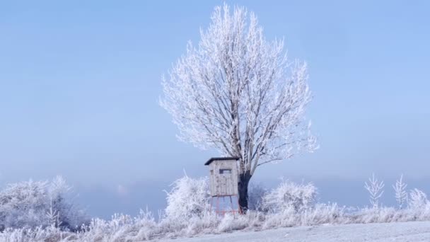 Drewniana Wieża Widokowa Polowania Zimowym Krajobrazie Zamarzniętymi Drzewami Błękitnym Niebem — Wideo stockowe