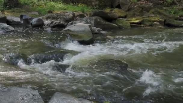 Wilder Fluss Doubrava Tschechien Europa — Stockvideo