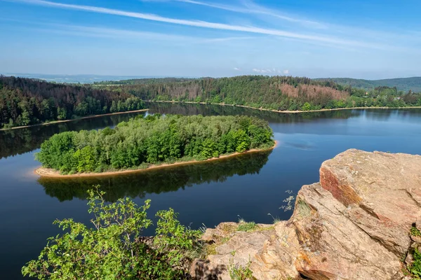 Lake Island Trees Water Reservoir Sec Czech Republic Europe — Stock Photo, Image