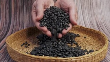 Kuru fasulye dolu kahverengi kâse. Elleri taze siyah fasulye dolu. Sağlıklı beslenme ve vejetaryen konsepti.