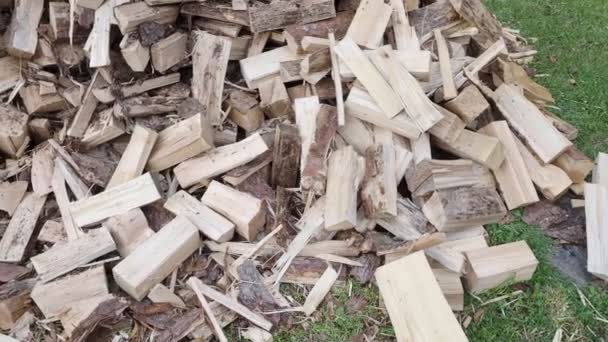 Pile Drewna Opałowego Przygotowanie Sezonu Zimowego — Wideo stockowe