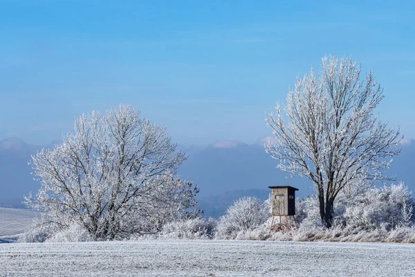Drewniana Wieża Widokowa Polowania Zimowym Krajobrazie Zamarzniętymi Drzewami Błękitnym Niebem — Zdjęcie stockowe