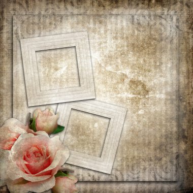Grunge çerçeve ve gül arka plan