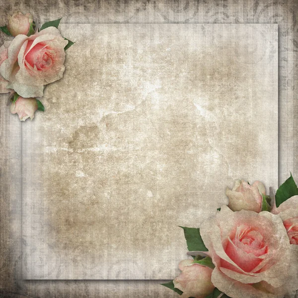 Grunge, vintage achtergrond met rozen — Stockfoto