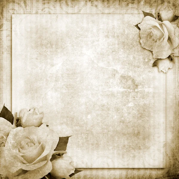 Grunge, vintage background with roses — Stock Photo, Image