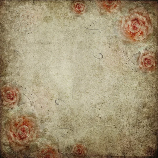 Sfondo con rose — Foto Stock