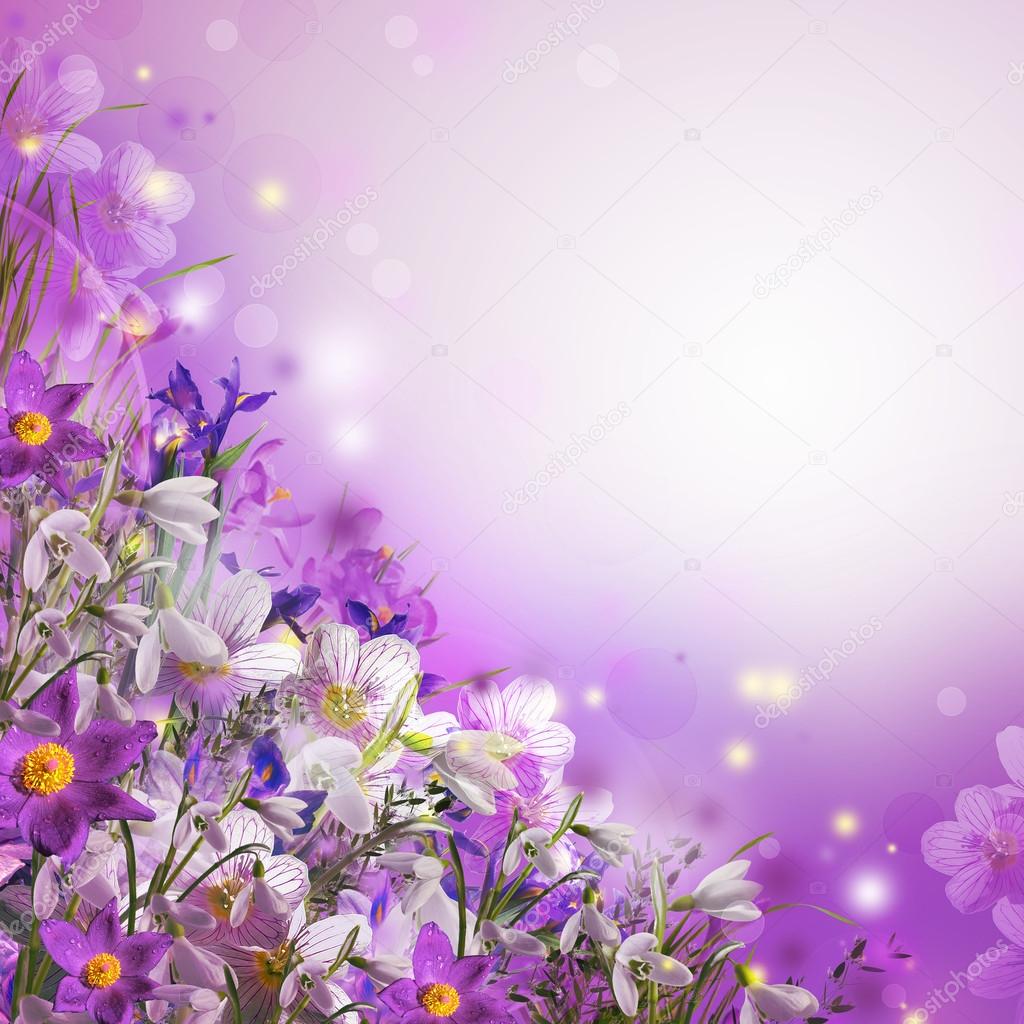 Spring bouquet from white and purple flowers Stock Photo by ©o_april ...