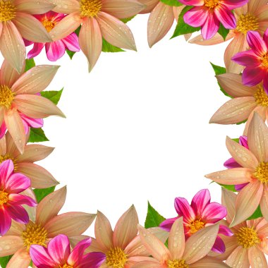 Beyaz Arkaplanda Renkli Çiçek Çerçevesi İzole Edildi