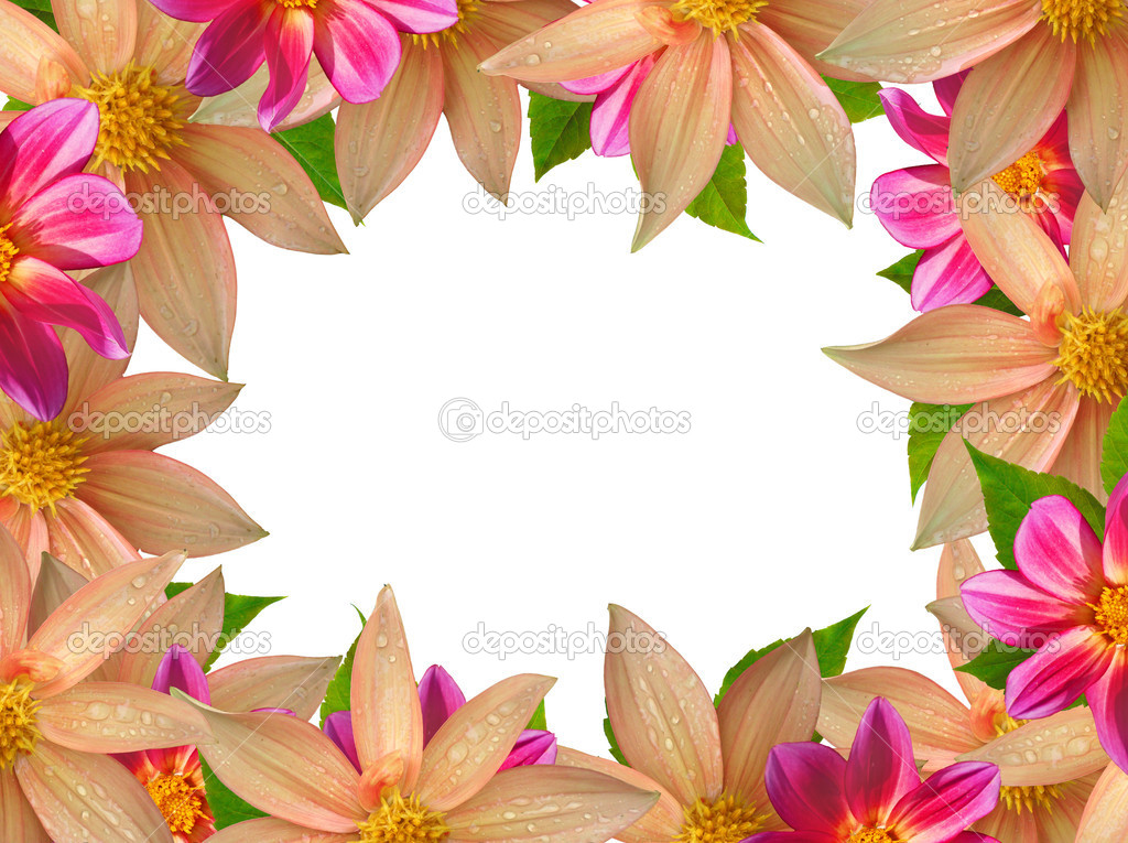 colorful flower frame isolated on white background