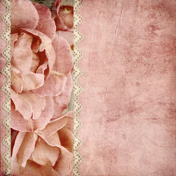 Fundo de casamento bonito com banner rosas — Fotografia de Stock
