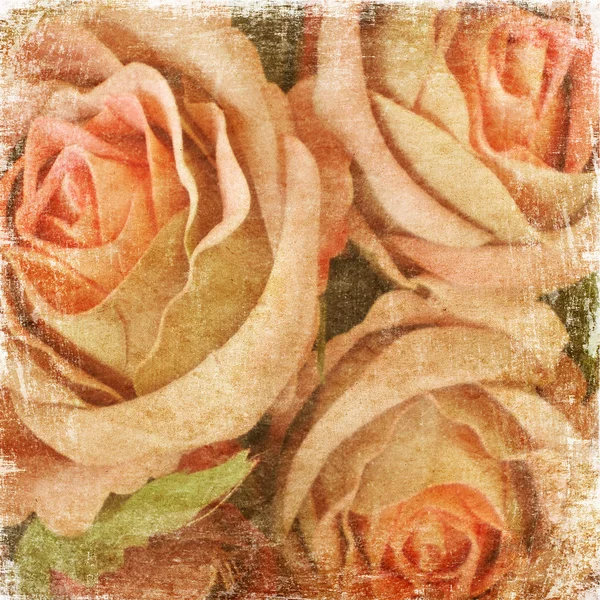 Grunge Roses Background — Stock Photo, Image