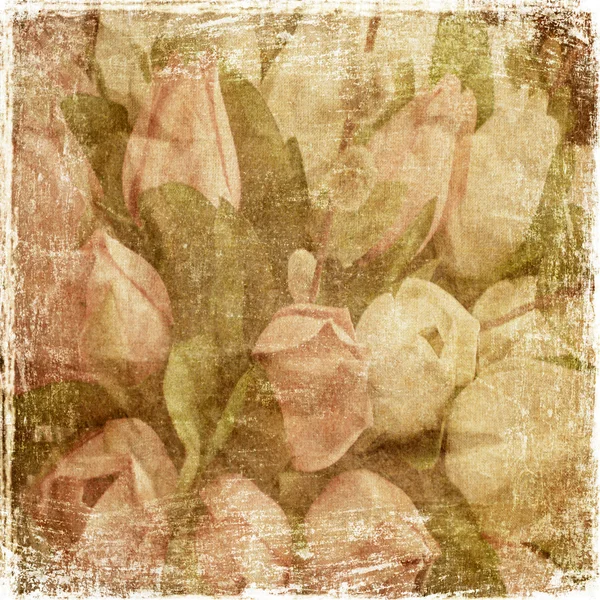 Tulipanes vintage — Foto de Stock