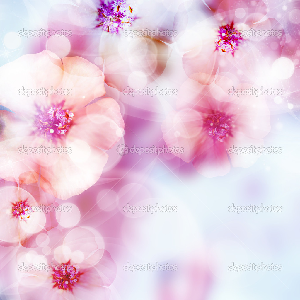 rose bokeh photo rose bokeh photo