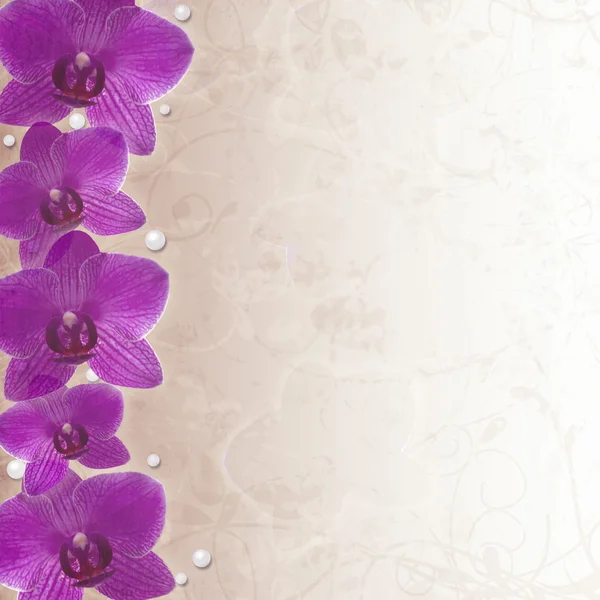 Orchids border — Stock Photo, Image